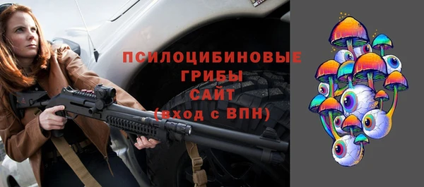 шишки Покров