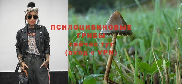 соль курить ск Покровск