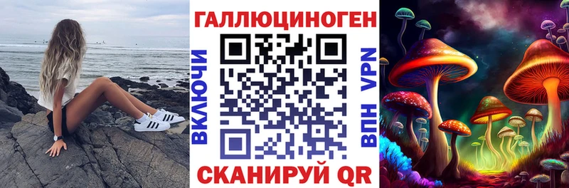 mega зеркало  Хвалынск  Галлюциногенные грибы Magic Shrooms  купить  